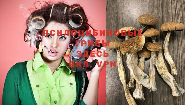 скорость Губаха