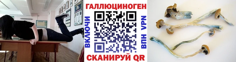 Галлюциногенные грибы ЛСД  Закаменск 